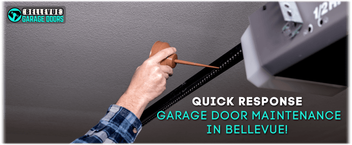 Garage Door Maintenance Bellevue